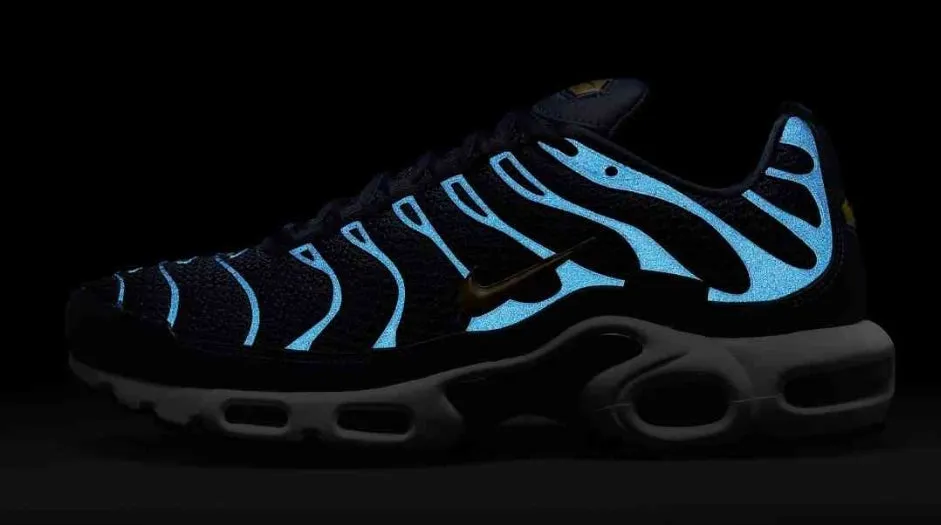 Baskets Nike Air Max Plus Tn  FFF