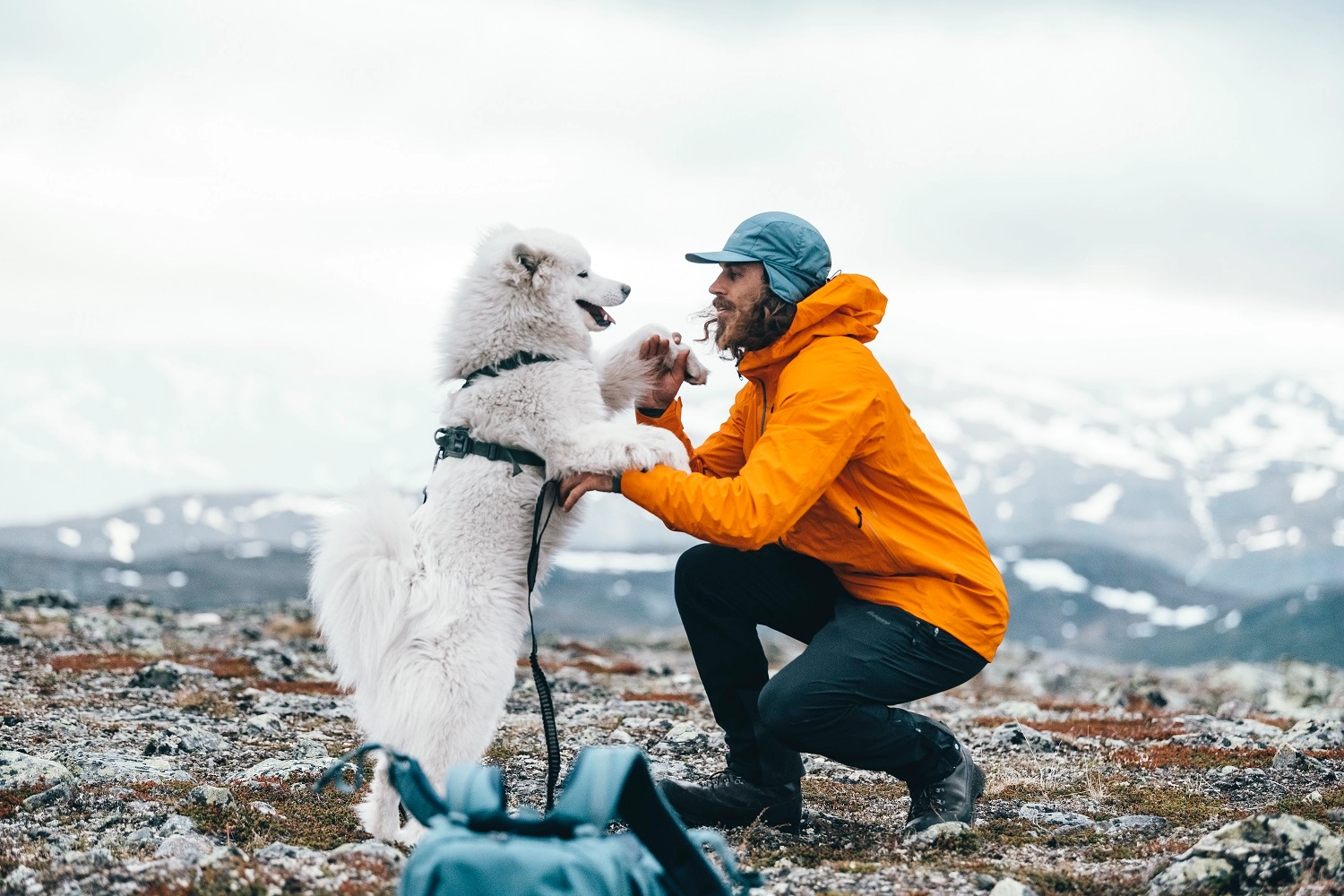 Veste Bergans Homme Rabot V2 3L Cloudberry Yellow